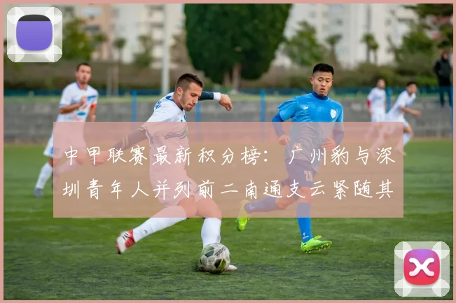 中甲联赛最新积分榜：广州豹与深圳青年人并列前二南通支云紧随其后
